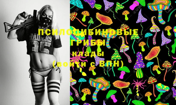 прущая мука Алзамай